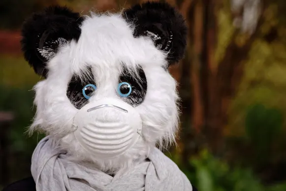 Kazino Cyber Bingo Atbalsts